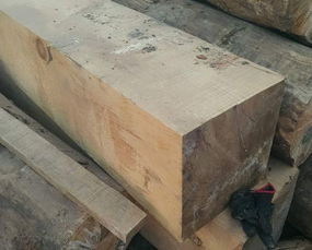 广东佛山木材加工 防腐木机器船支撑木垫木枕木铁路